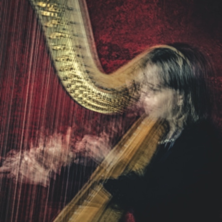 Worcester Chamber Music Society.